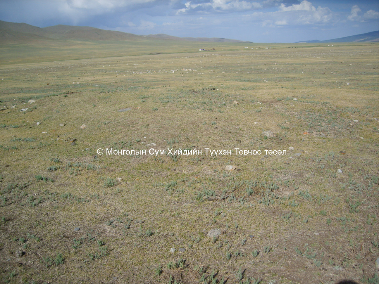 Баруун-Хойд талаас авсан 